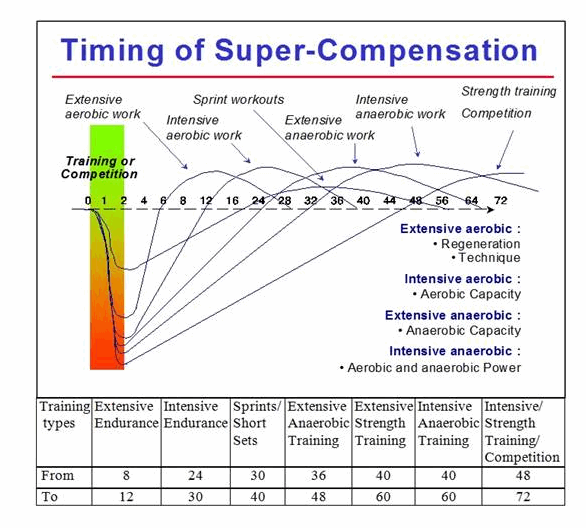 Superkompensacja   czas Po określonych typach treningu Olb Ch1 04 (1)